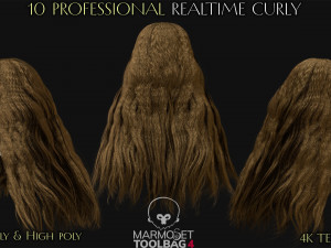 10 Professional Realtime Curly Hair Modelo 3D