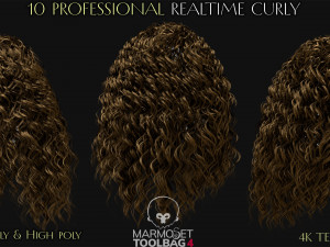 10 Professional Realtime Curly Hair Modelo 3D