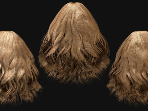 10 Professional Realtime Curly Hair Modelo 3D