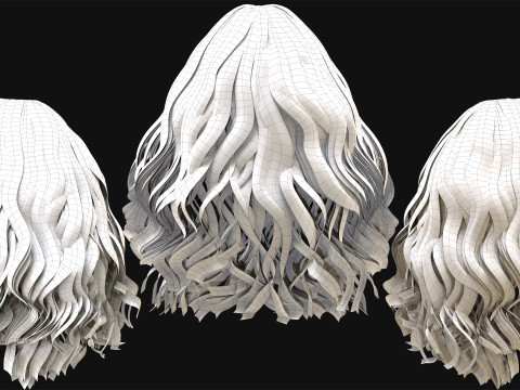 10 Professional Realtime Curly Hair Modelo 3D