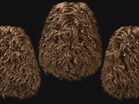 10 Professional Realtime Curly Hair Modelo 3D