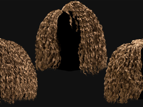 10 Professional Realtime Curly Hair Modelo 3D