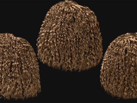 10 Professional Realtime Curly Hair Modelo 3D