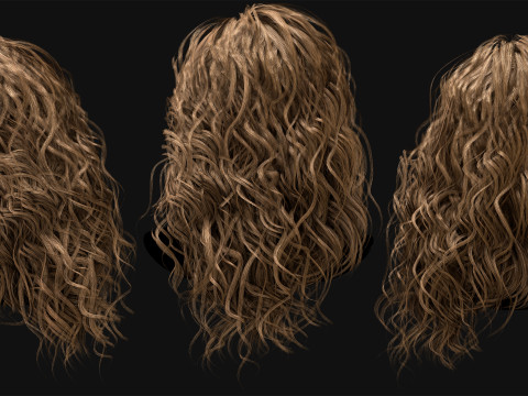 10 Professional Realtime Curly Hair Modelo 3D