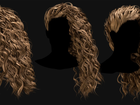 10 Professional Realtime Curly Hair Modelo 3D