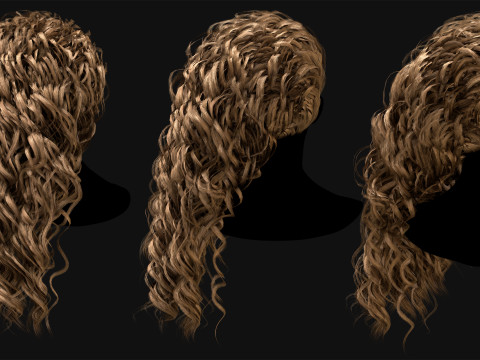 10 Professional Realtime Curly Hair Modelo 3D