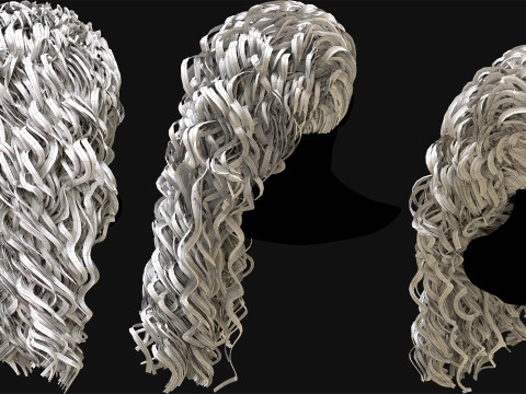 10 Professional Realtime Curly Hair Modelo 3D