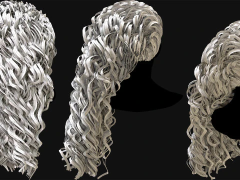 10 Professional Realtime Curly Hair 3D Model