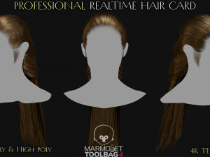 30 Profesional Realtime Haircard Modelo 3D