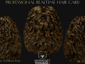 30 Profesional Realtime Haircard Modelo 3D