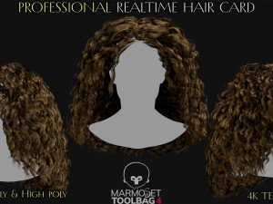 30 Profesional Realtime Haircard Modelo 3D
