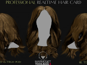 30 Profesional Realtime Haircard Modelo 3D