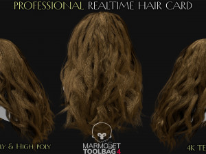 30 Profesional Realtime Haircard Modelo 3D