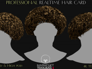 30 Profesional Realtime Haircard Modelo 3D