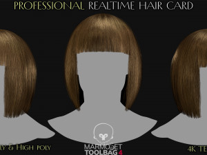30 Profesional Realtime Haircard Modelo 3D