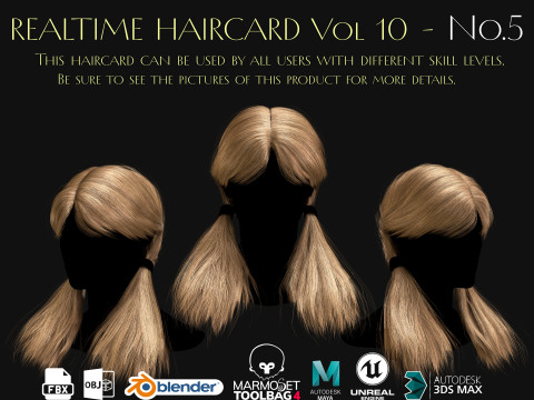 Realtime Haircard Vol 10 - No5 3D Модель