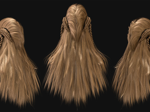Realtime Haircard Vol 10 - No4 3D Model