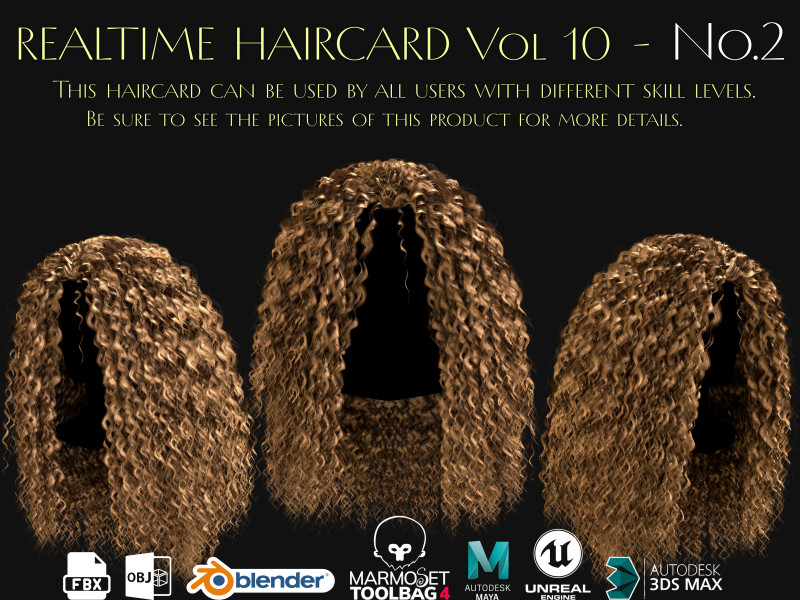 Realtime Haircard Vol 10 - No2 Modelo 3D .c4d .max .obj .3ds .fbx .stl .blend 