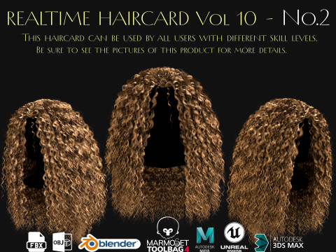 Realtime Haircard Vol 10 - No2 3D Модель
