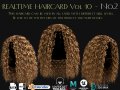 Realtime Haircard Vol 10 - No2 3D Model