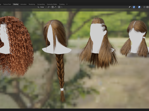 Professional Realtime Haircard Vol 10 3D Model