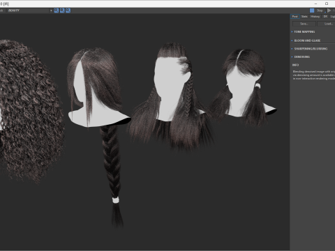 Professional Realtime Haircard Vol 10 3D Model