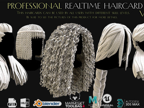 Professional Realtime Haircard Vol 10 3D Model