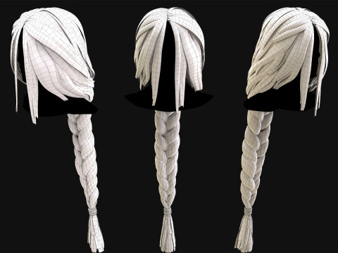 Professional Realtime Haircard Vol 10 3D Model