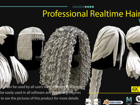 Professional Realtime Haircard Vol 10 3D Model