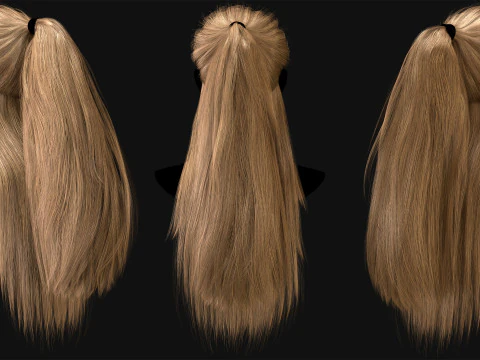 20 Special Realtime Haircard 3D Model
