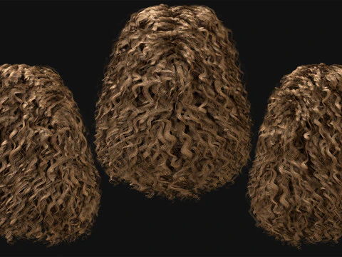 20 Special Realtime Haircard 3D Model