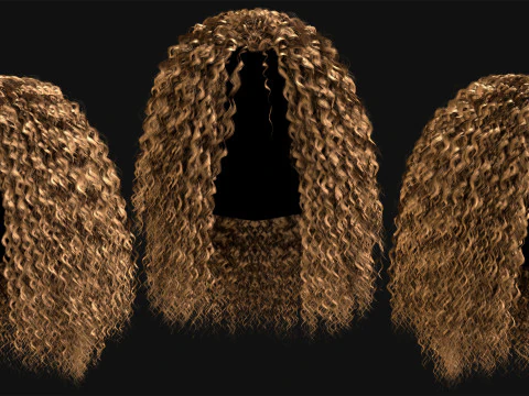 20 Special Realtime Haircard 3D Model