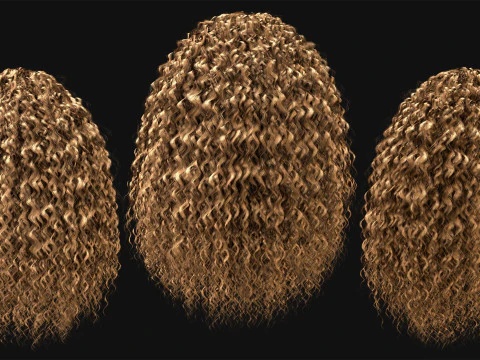 20 Special Realtime Haircard 3D Model