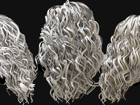 20 Special Realtime Haircard 3D Model