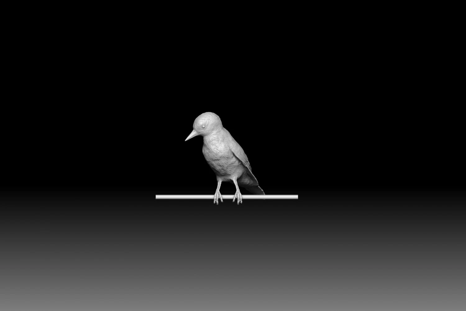 Woodpecker 3D Print Model .c4d .max .obj .3ds .fbx .stl .blend 