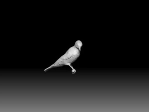 Woodpecker 3D Print Model