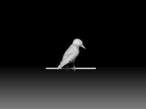 Woodpecker 3D Print Model