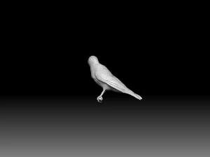 Woodpecker 3D Print Model