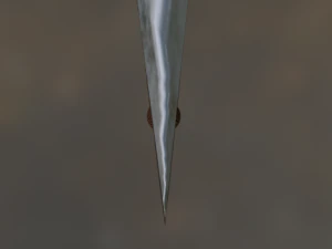 Top&oacute;r Model 3D