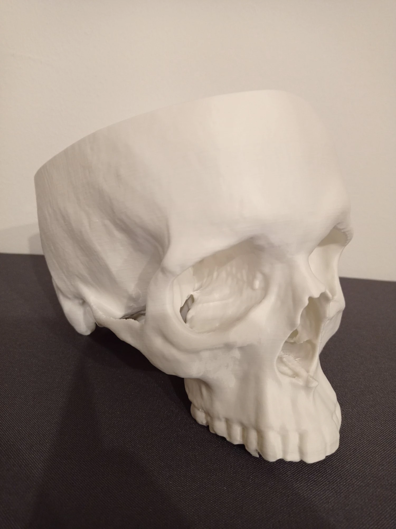 ANATOMICAL HUMAN SKUL 3D Print Model .c4d .max .obj .3ds .fbx .stl .blend 