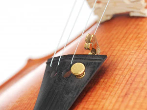 Yaşlı Keman ve Yay 3D Model