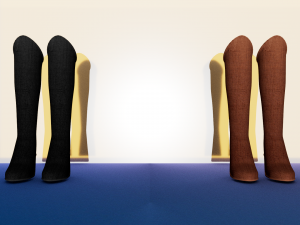 Sexy Fashion Leather Boots Package 3D Model