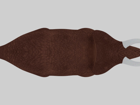Ceratopsia Dinosaur 3D Модель