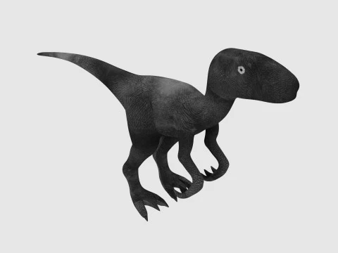 Raptor Dinosaur 3D Model
