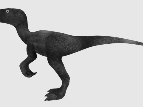 Raptor Dinosaur 3D Model