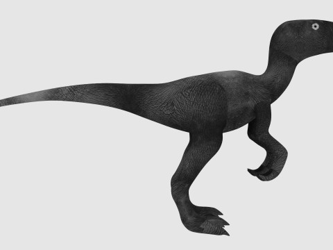 Raptor Dinosaur 3D-Modell