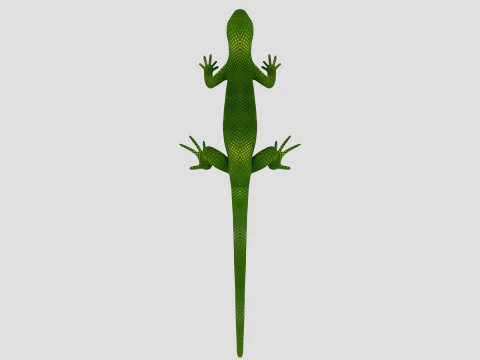 Reptile Lizard 3D Model