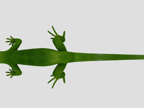 Reptile Lizard 3D Модель