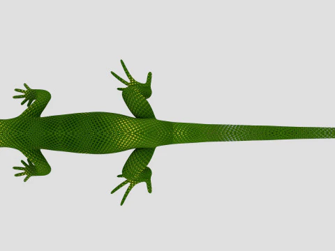Reptile Lizard 3D Model