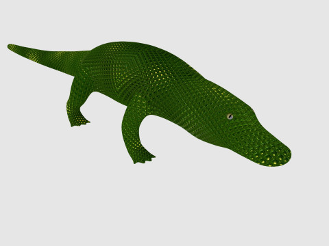 Alligator Model 3D